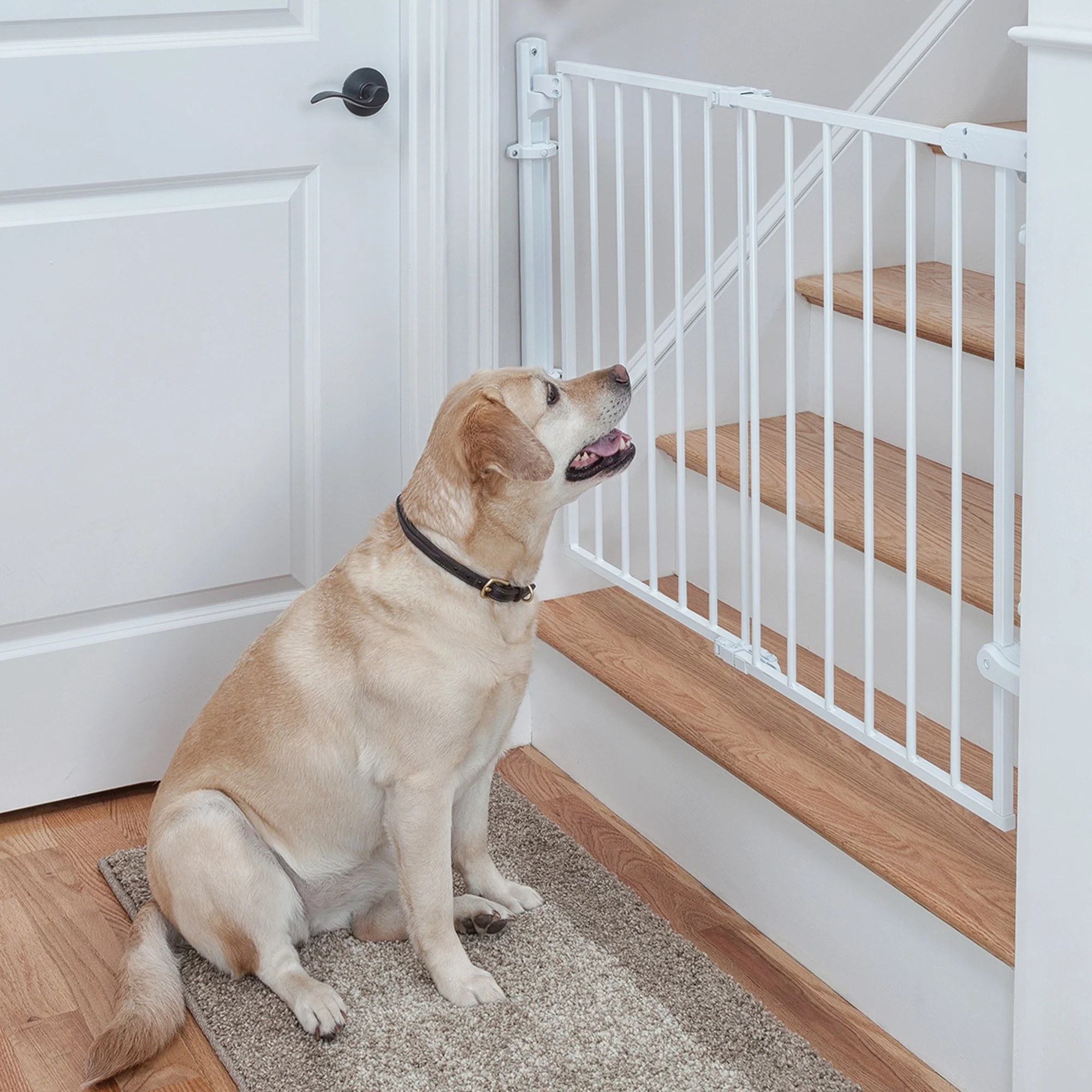 Ready to Install Baby Gate - Image 3